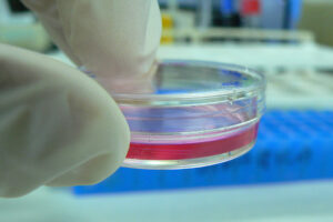 Biotech Peptide News: Clinical Milestones and Supply Demands