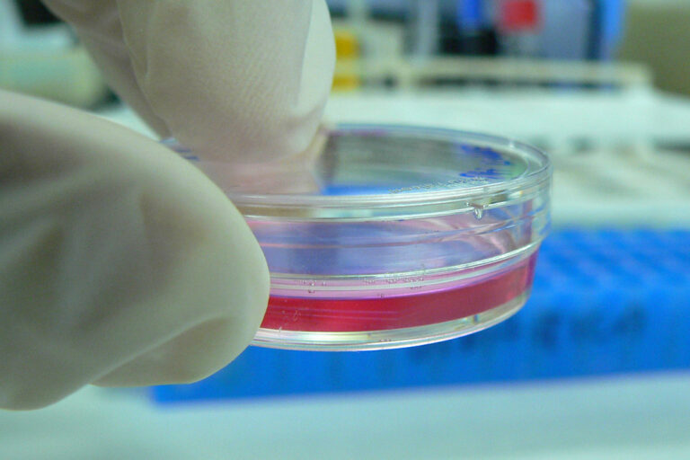 Biotech Peptide News: Clinical Milestones and Supply Demands