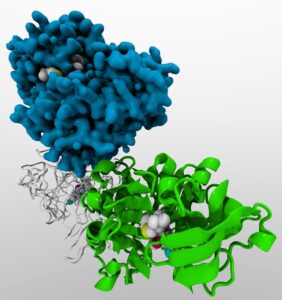 GLP-1 Receptor Agonists in Research: Semaglutide, Tirzepatide, Retatrutide, and Cagrilintide