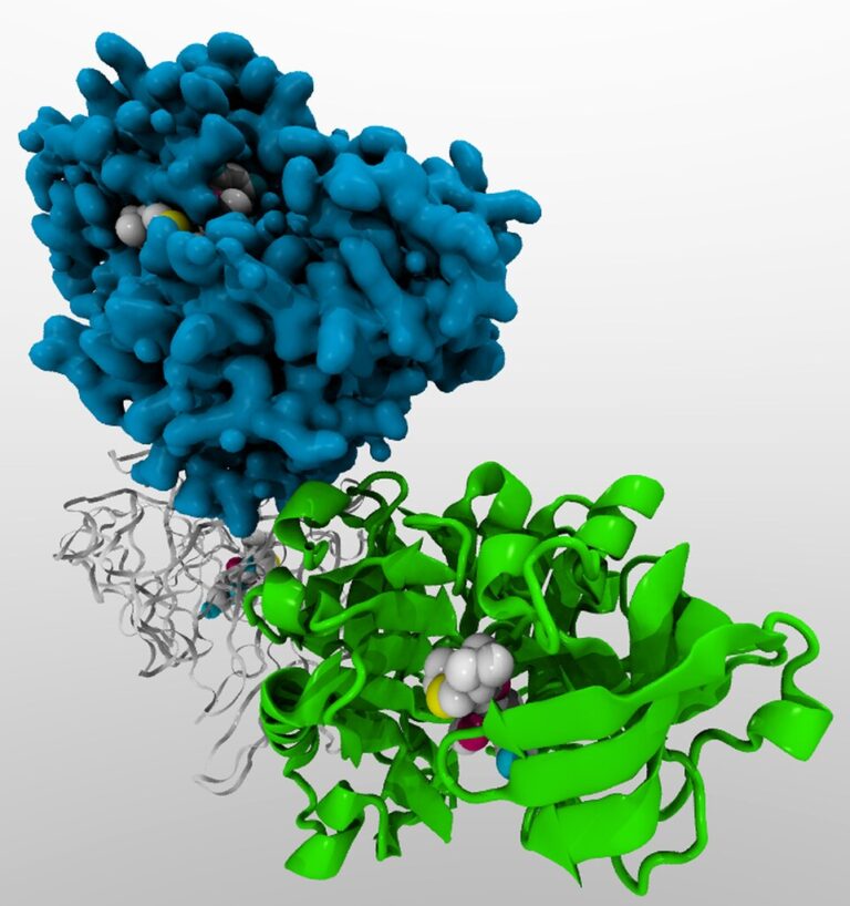 GLP-1 Receptor Agonists in Research: Semaglutide, Tirzepatide, Retatrutide, and Cagrilintide