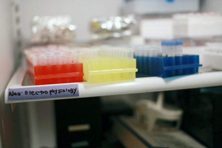 Peptide Storage Q&A: Preserving Structural Integrity in Research