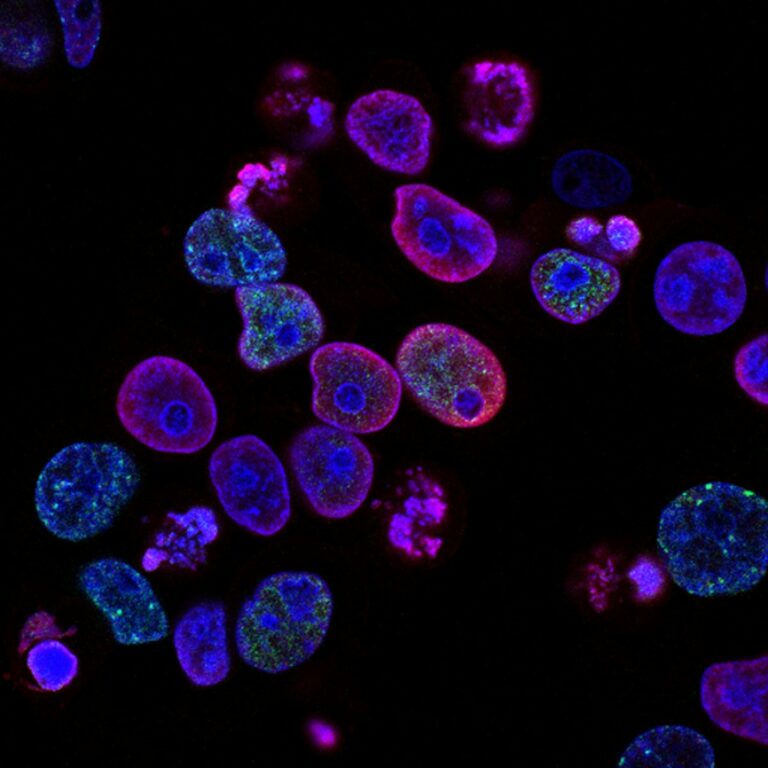 Peptide Endotoxin Quantification: Matrix Effects and QA Validation